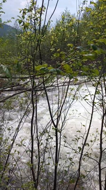 "СКАЗКА струящейся воды: Водопад на уютной речке" #рыба