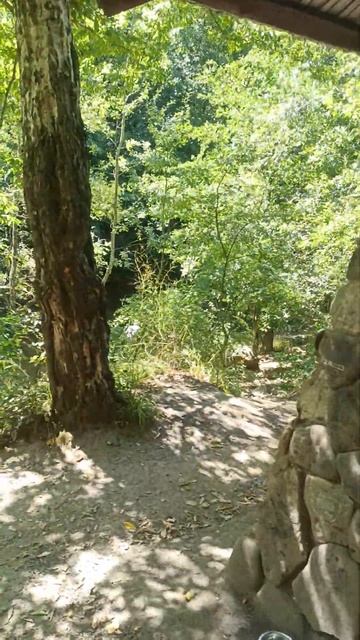 #Активные отдых🧭#Поход в  горы #Краснодарский край