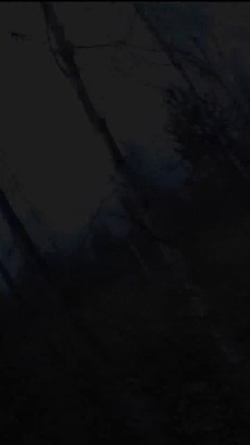 ПОПАЛ БЫ!? ОХОТА НА ЗАЙЦА С МЕЛКАШКОЙ ПО ЧЕРНОТРОПУ! #ох