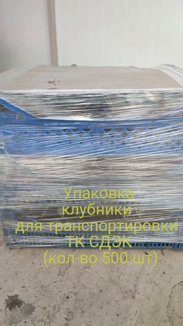 Упаковка рассады клубники для транспортировки