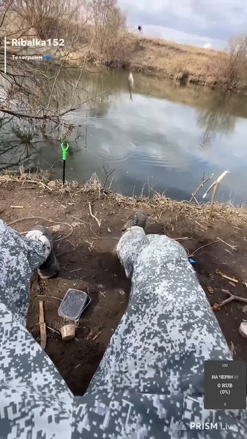 Фидер это просто круто 🙌 #fishing #рыбалканафидер #рыбалк смотреть онлайн