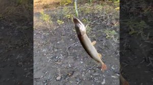 голые девушки