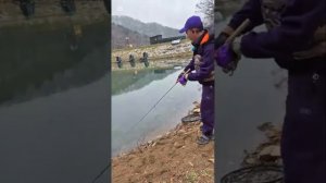 снасть сплитшот на форель