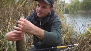 Как ловить ЩУКА на ЖИВЦА с поплавком. Снасть на щуку. Р?