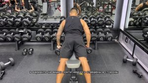 Тяга гантелей к поясу лежа на скамье для спины