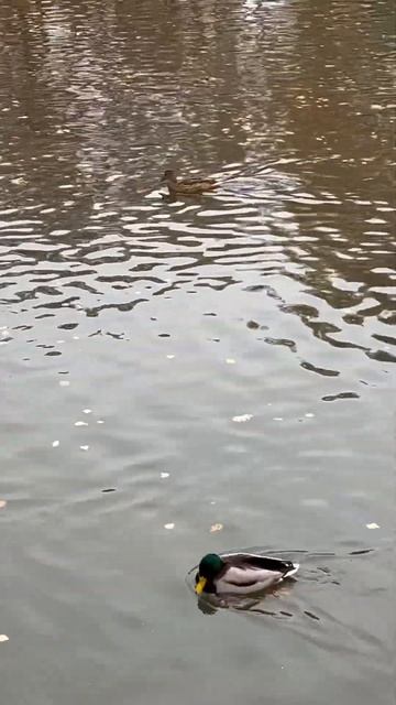 Курило  Роберт Сергеевич  поздравляем с днем рождения