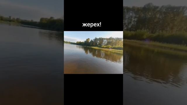 жерех на волкер смотреть онлайн