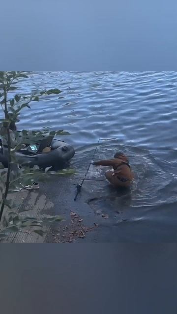 Золотая рыбка в реальной жизни #рек смотреть онлайн