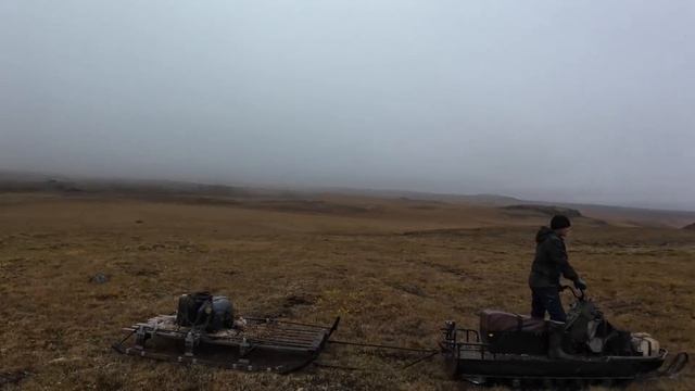 Охота на дикого оленя в Северной Якутии смотреть онлайн