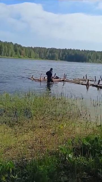 на белоярке