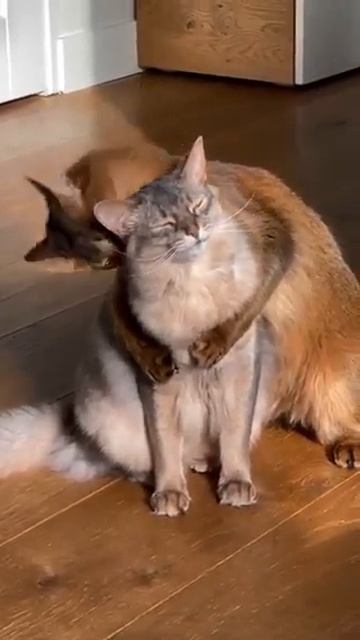 Температура сегодня будет до +15 градусов. Утром будет ? смотреть онлайн