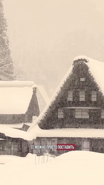 Фуксия. Варенье из цветков. Выращивание фуксии: уход, в смотреть онлайн