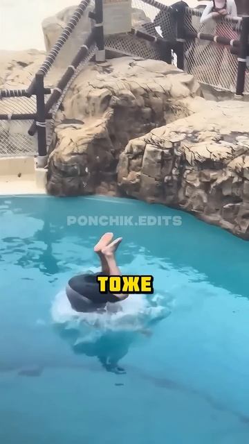 Бассейн в котором все начинают тонуть!😳 #shоrts #short смотреть онлайн