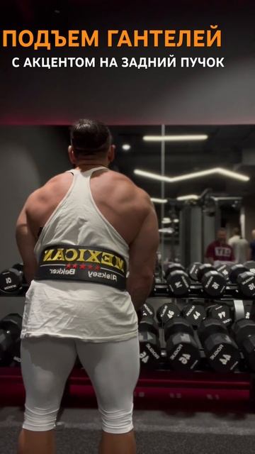 Подъем гантелей стоя с акцентом на задний пучок смотреть онлайн