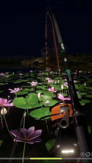 Трофей амур на р.Ахтуба смотреть онлайн