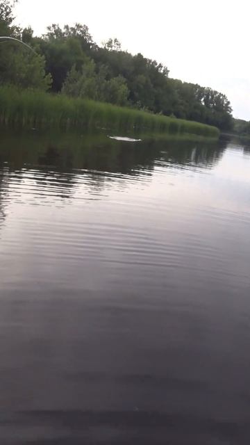 Заброс на щучий всплеск, рыбалка на щуку травянку смотреть онлайн