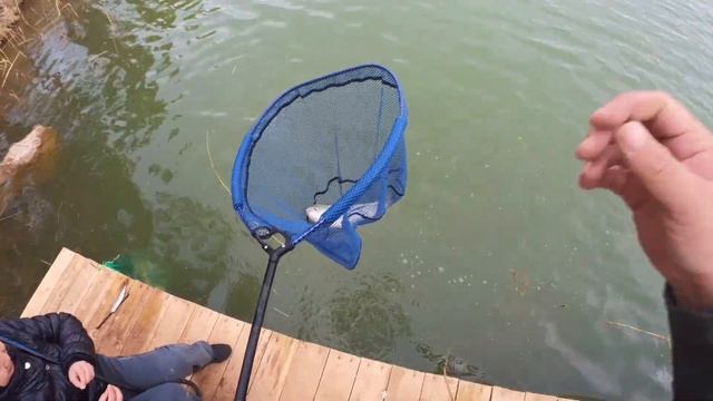 Первая форелевая рыбалка в Астане. смотреть онлайн