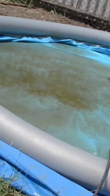 заливаем бассейн смотреть онлайн