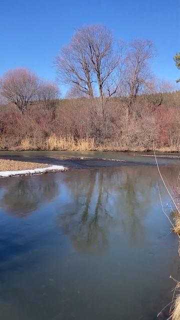 Осенняя река звук реки #байкал #fishing #рыбалка #рыба #рек? смотреть онлайн