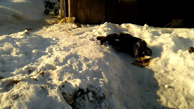 Прикол над другом , Слоу Моушн смотреть онлайн