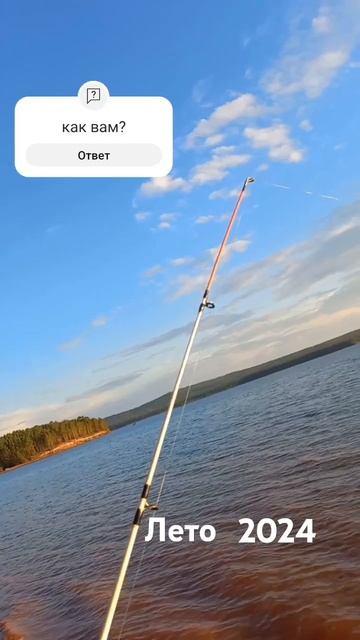 Рыбалка на Братском водохранилище. #рыбалка #fishing #carpfish