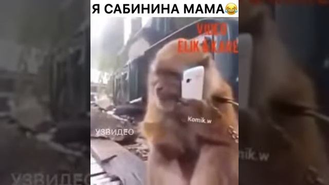 Прикол. Я сабинина мама смотреть онлайн