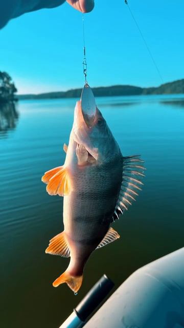 Завершение сезона 2024 и ожидание сезона 2025😉 ВСЕМ НХНЧ смотреть онлайн