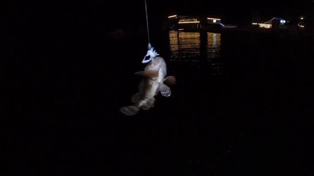 Рыбалка в Сочи на ультралайт. Трудовая вечерка🌕