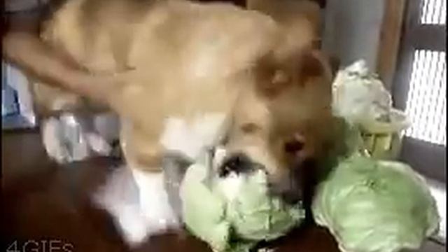 Ты не ты когда голоден смотреть онлайн