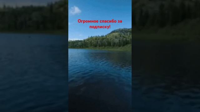 Пошлый анекдот про рыбалку,золотую рыбку #рыболовныеу смотреть онлайн