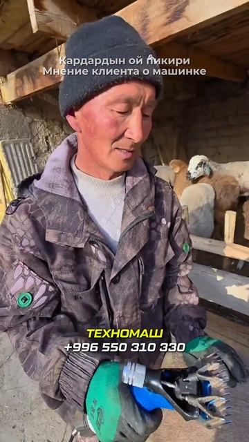 Процесс работы машинки для стрижки. Иш алпарып жаткан