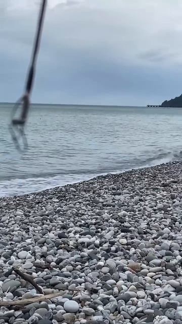Пеламида с берега #абхазия #fishing #рыбалкасгидом смотреть онлайн
