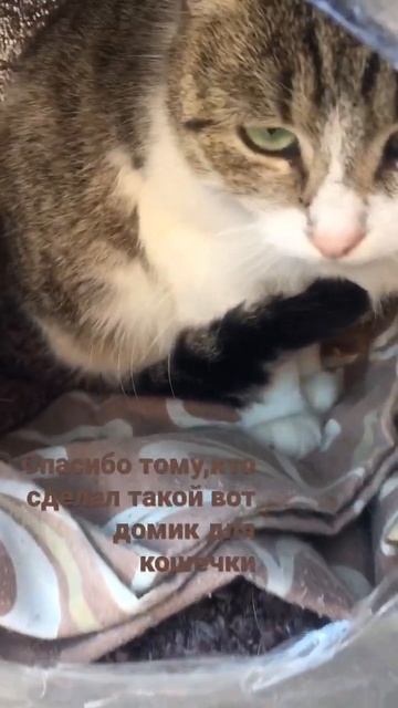 Добрые люди есть везде смотреть онлайн