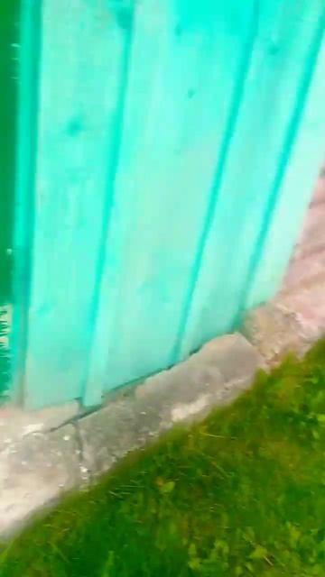 что в бане смотреть онлайн