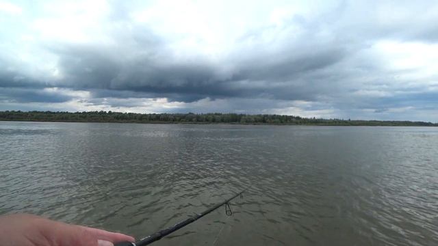 Рыбалка на спиннинг на реке Обь в августе смотреть онлайн