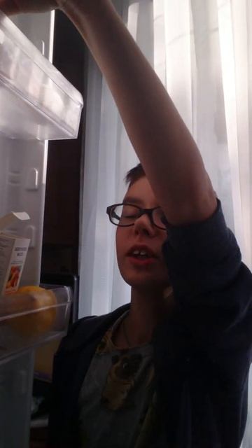 Пародия про холодильник гена горин