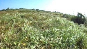 БИТВА МУЛЬТОВ! Daiwa Zillion vs Cadence Vigor. Часть 1. Рыбалка с ZILLION.