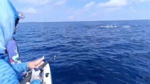 Рыбалка на Мальдивах в стиле "TripExpertPro"