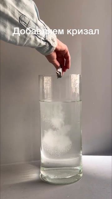 Кратка инструкция по уходу за гортензией. смотреть онлайн