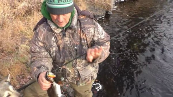 Taifun Professional 802 2.43 метра 2-32 грамма 2025 Обзор новинки!