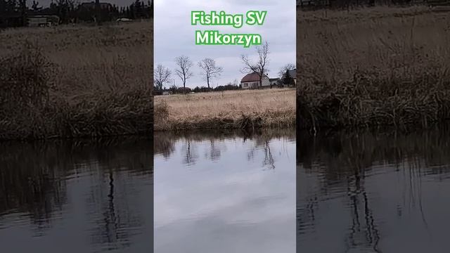 Рыбалка на Платнике Микожин. Красивая Природа. 12.04.2025. #