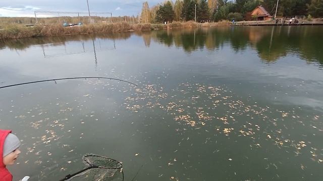 Марк ТОП, как Влад А4 бумага, квест рыбалка смотреть онлайн