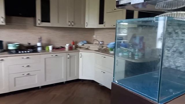 0513 смотреть онлайн