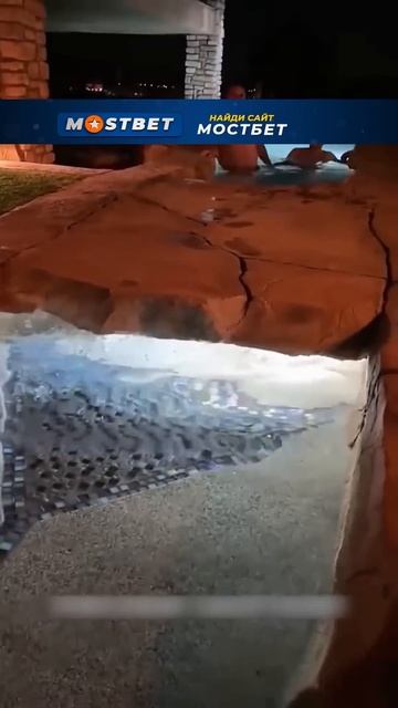 Мужчина решил проплыть под мостиком в бассейне, но он ? смотреть онлайн