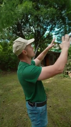 Стрижка и обрезка сосен. Формирование первый год. Первая Академия Сада.