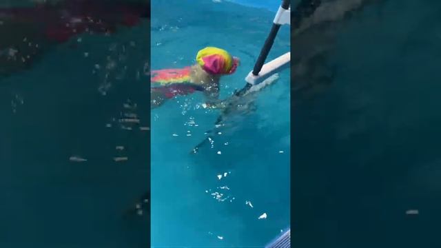 Поднимаем камушки со дна бассейна! смотреть онлайн