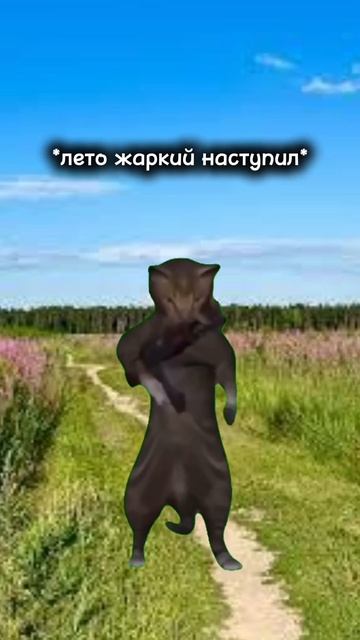 много спала, много ела😺 #cat #актив #instrumental #кот #typebeat #beat смотреть онлайн