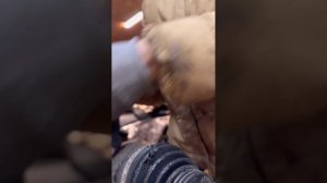 Замена пыльника на внутренней гранате  aodes (одес)