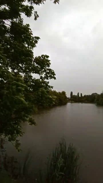 ветер и дождь #адыгея #отдых #рыбалка #поплавок #озеро #? смотреть онлайн