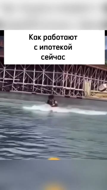 Об ипотеке в уходящем 2024 смотреть онлайн